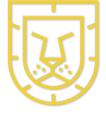 Shield Icon